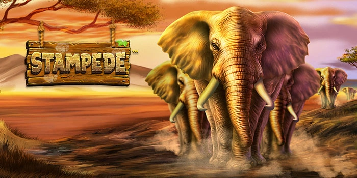 Panduan Lengkap Bermain Slot Stampede Untuk Pemula